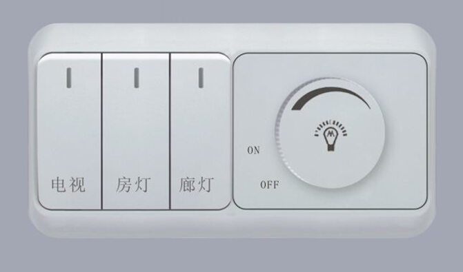 10A250V˫λشһλ